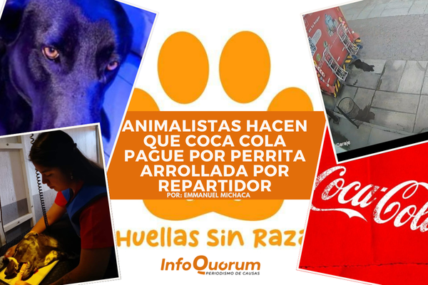 Animalistas hacen que Coca Cola pague por perrita arrollada por repartidor