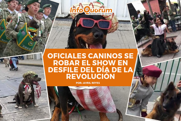 Oficiales caninos se robar el show en desfile del día de la Revolución