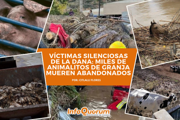 Víctimas silenciosas de la DANA: miles de animalitos de granja mueren abandonados