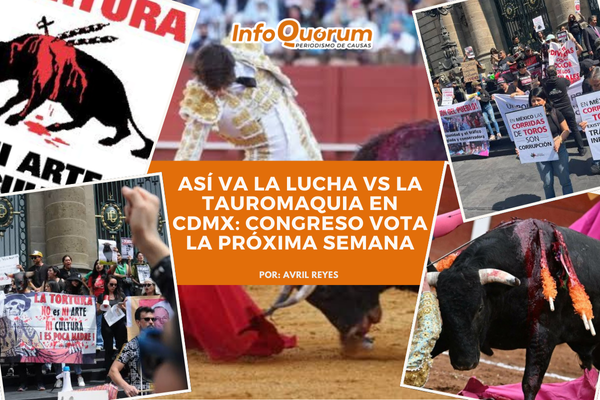 Así va la lucha VS la tauromaquia en CDMX: Congreso vota la próxima semana