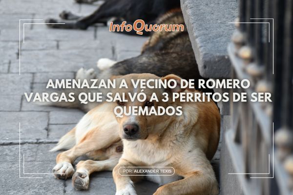 Amenazan a vecino de Romero Vargas que salvó a 3 perritos de ser quemados
