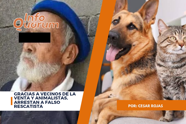 Gracias a vecinos de La Venta y animalistas, arrestan a falso rescatista
