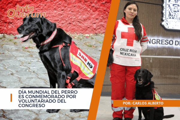 Día mundial del perro es conmemorado por voluntariado del Congreso