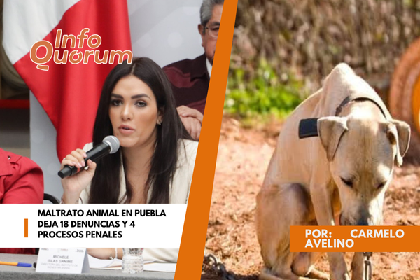 Maltrato animal en Puebla deja 18 denuncias y 4 procesos penales