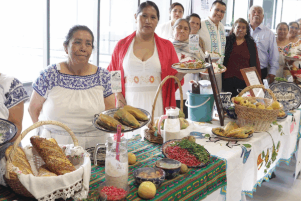 Congreso invita a la temporada de chiles en nogada en la región volcanes
